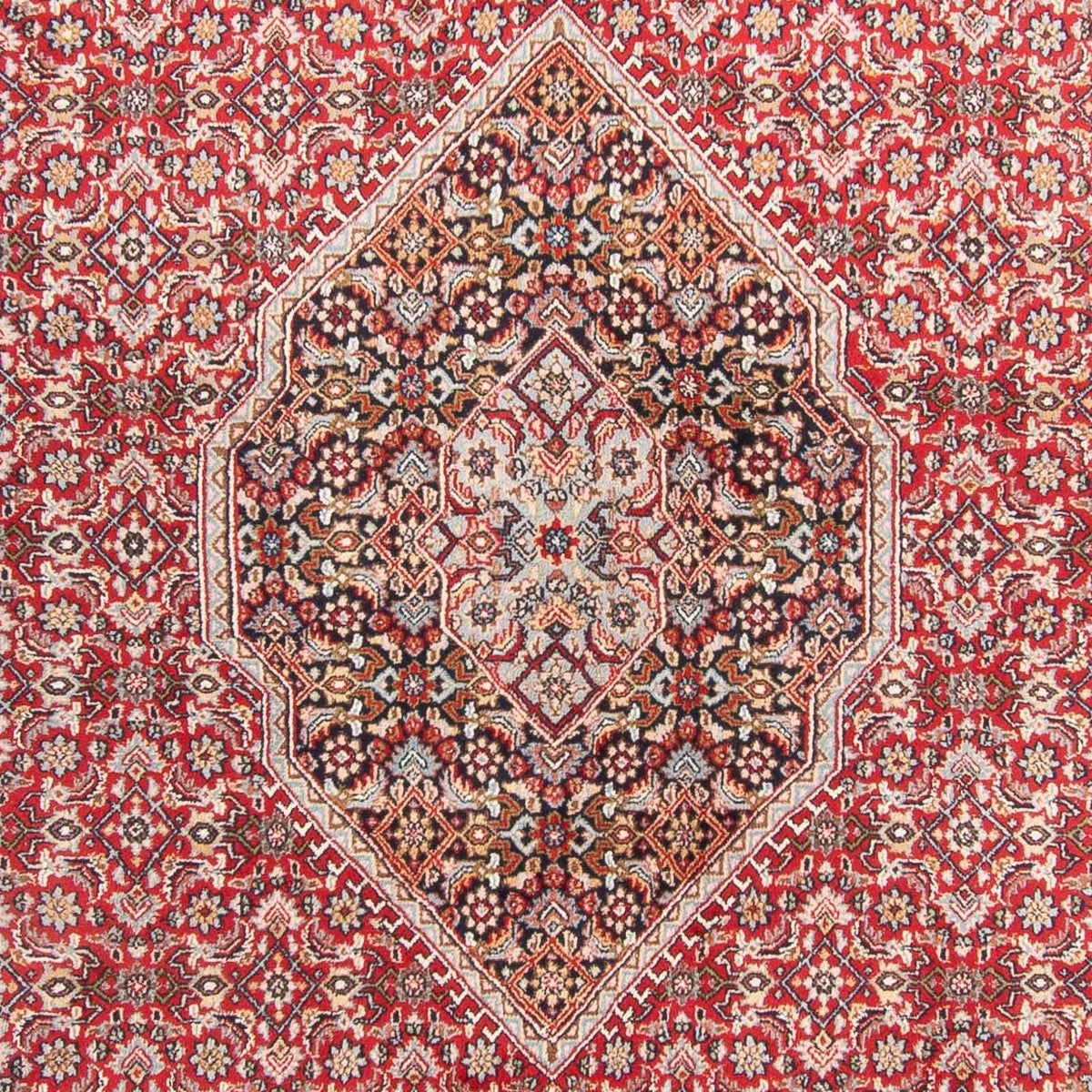 Alfombra oriental - Bidjar - Indus - 407 x 305 cm - rojo