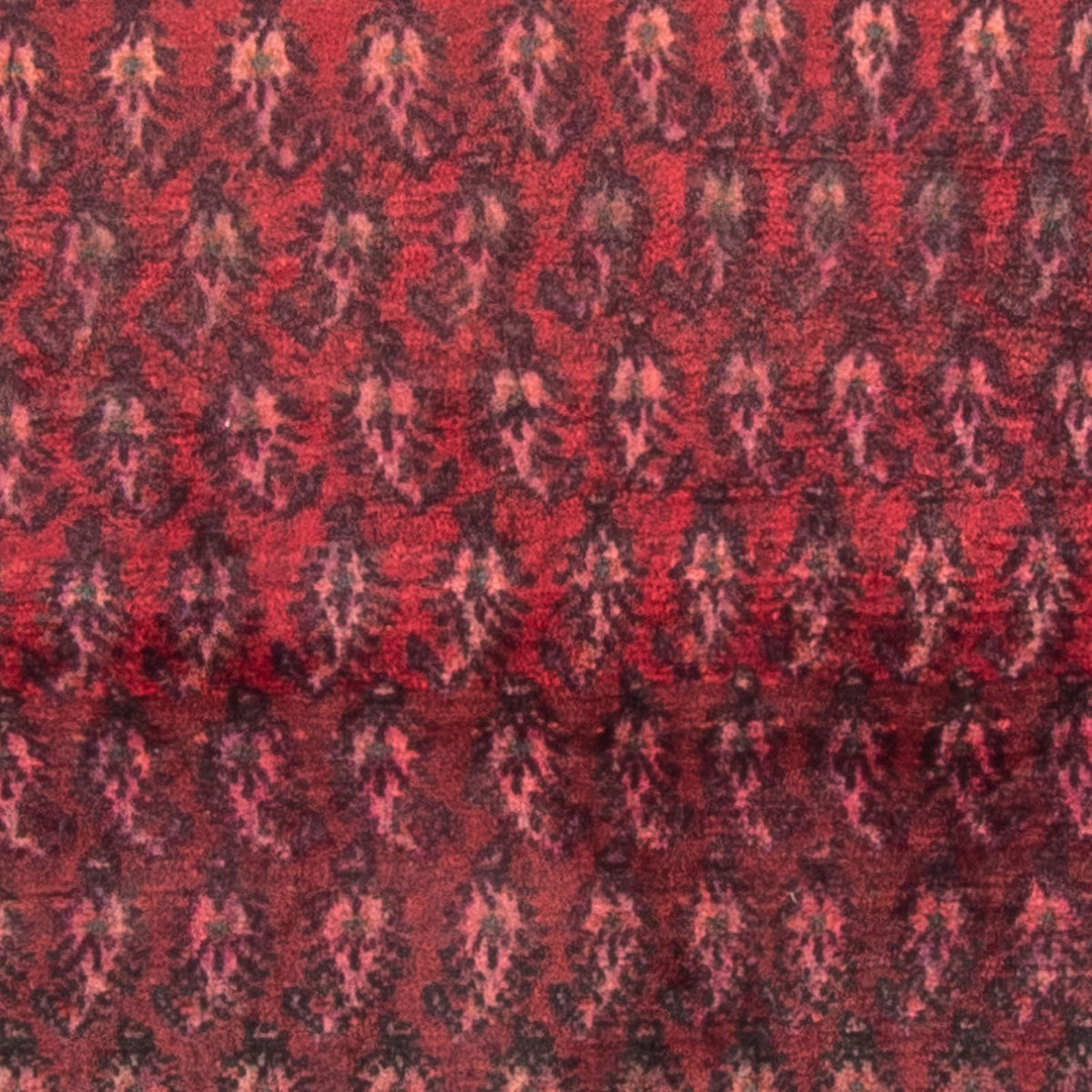 Alfombra persa - Nómada - 150 x 140 cm - rojo