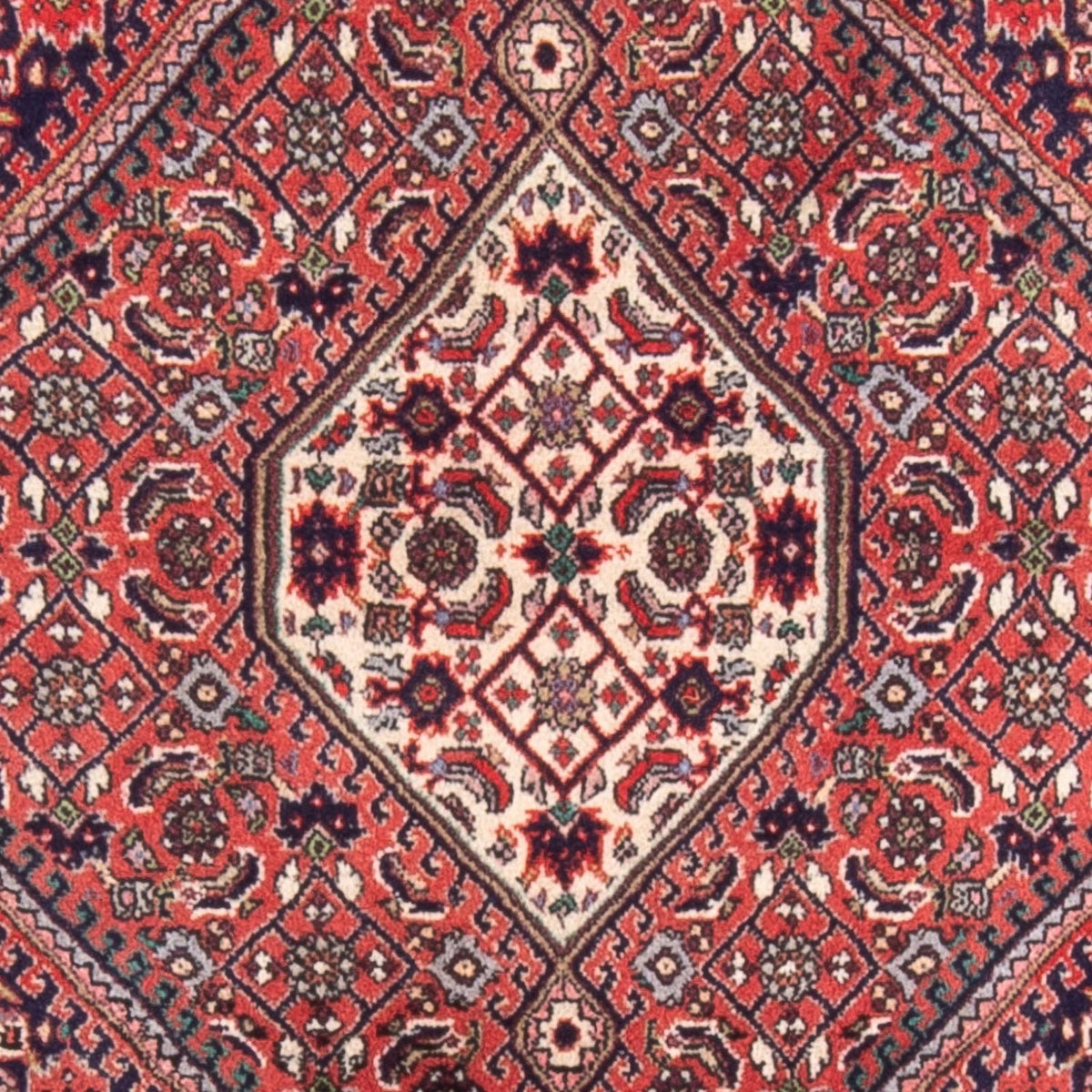 Alfombra persa - Bidjar - 105 x 75 cm - rojo