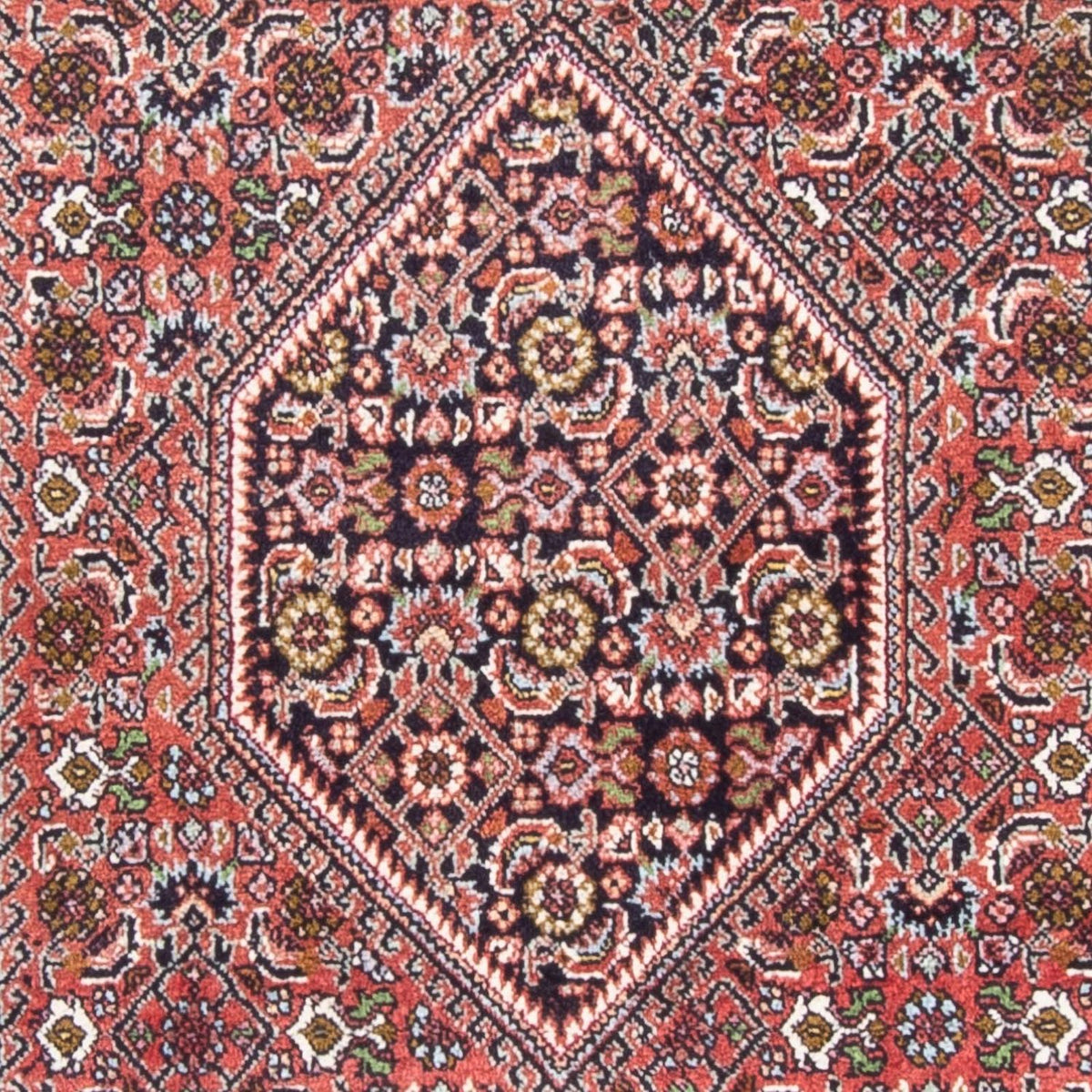 Alfombra persa - Bidjar - 150 x 85 cm - rojo