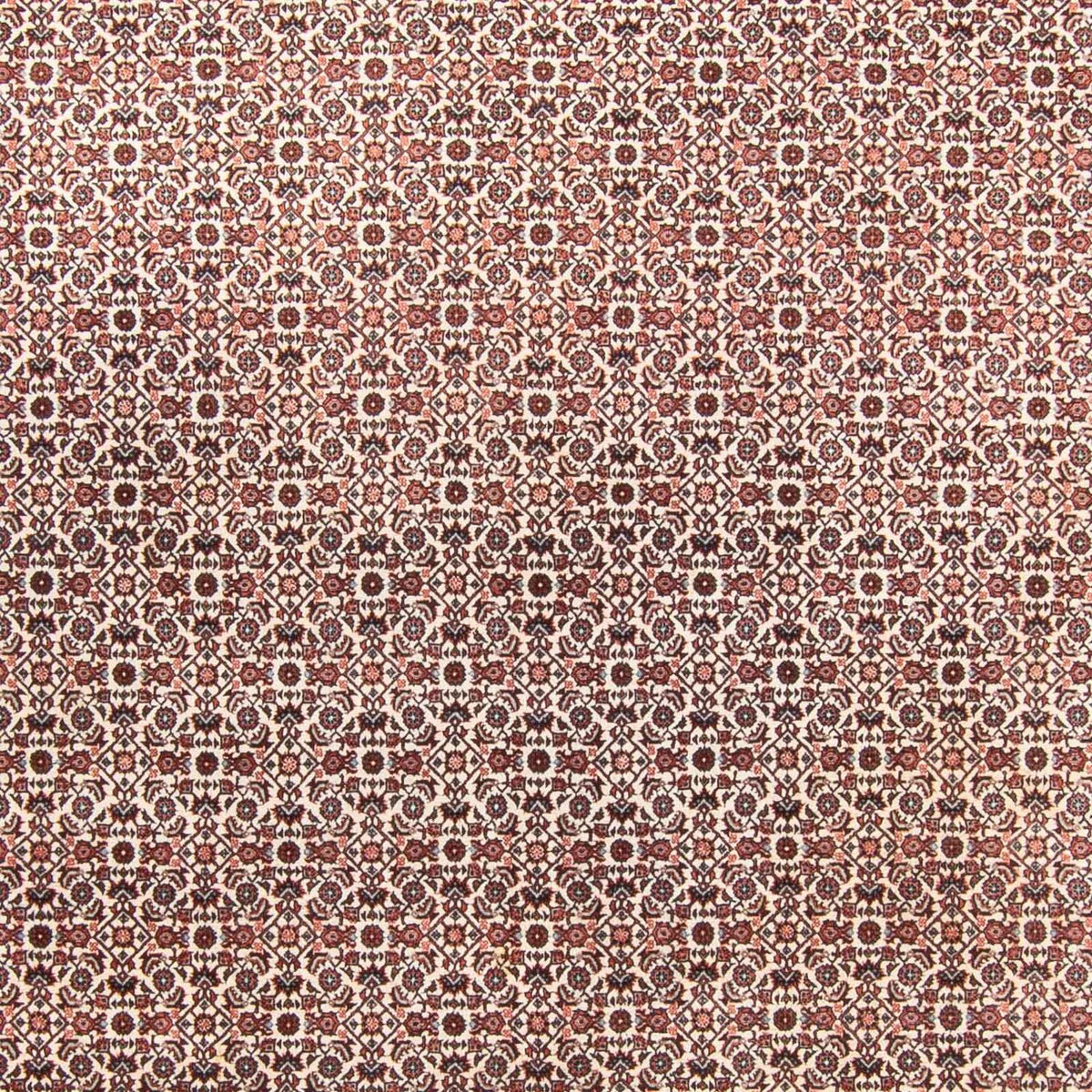 Alfombra persa - Bidjar - 340 x 250 cm - beige