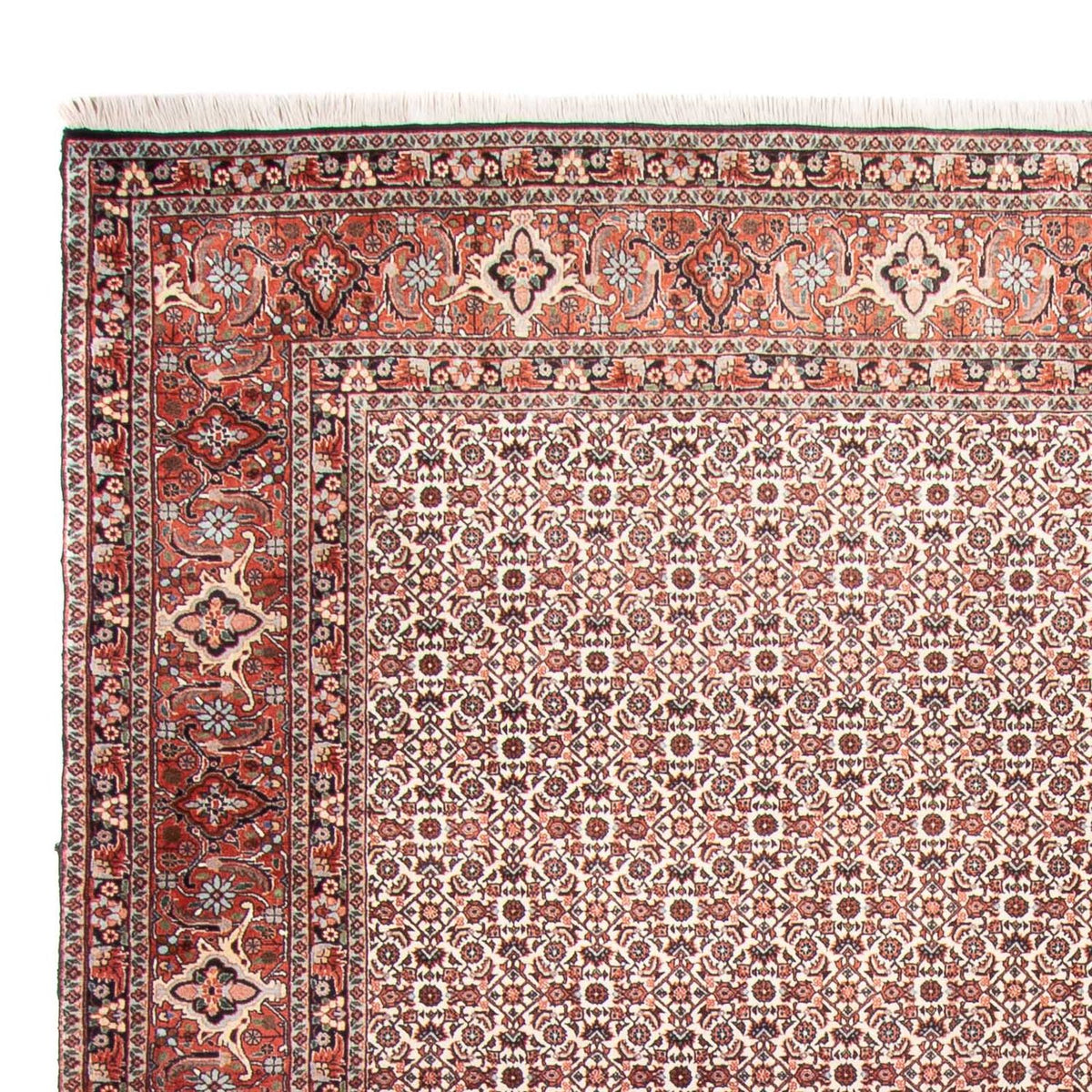 Alfombra persa - Bidjar - 340 x 250 cm - beige