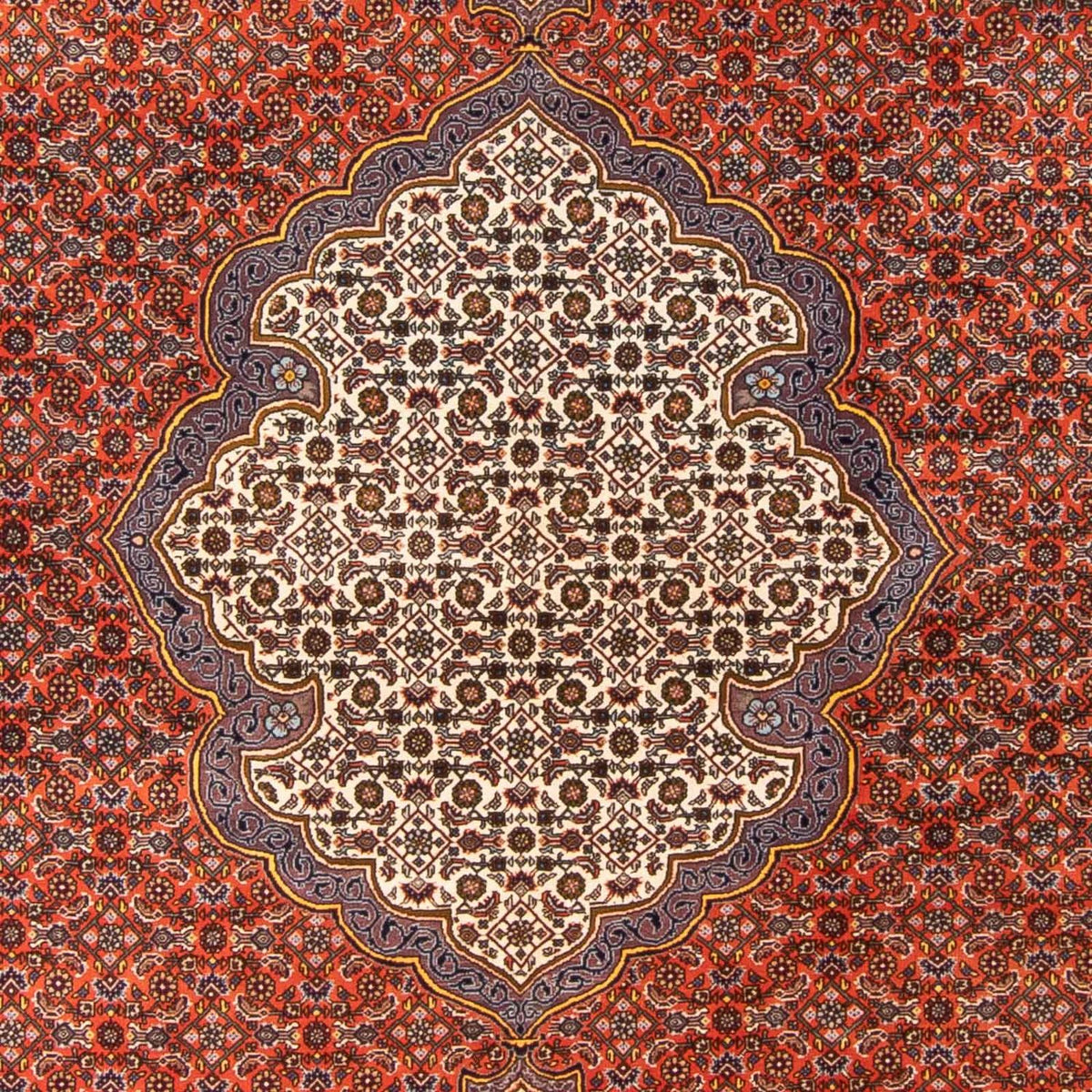 Alfombra persa - Bidjar - 312 x 205 cm - naranja
