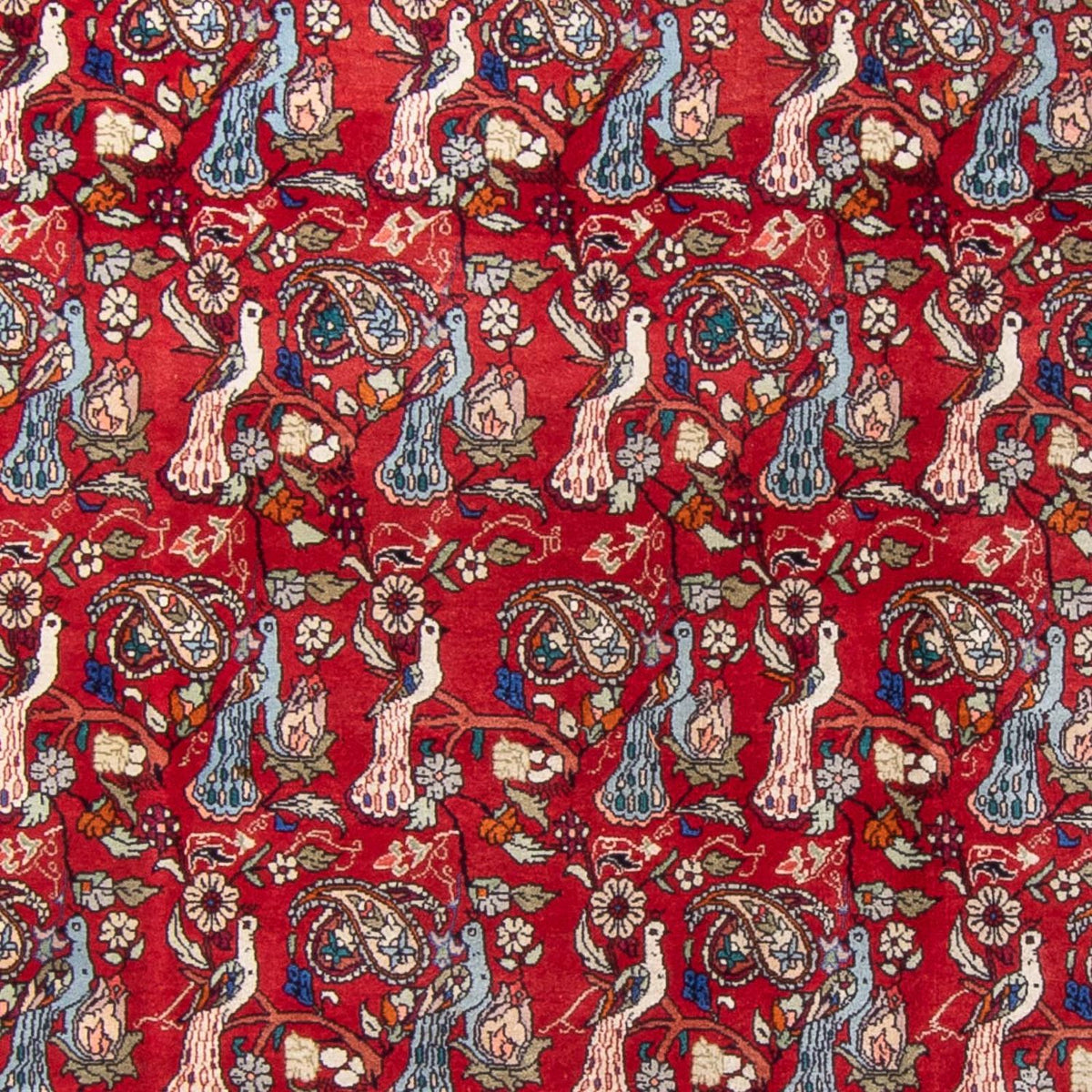 Alfombra persa - Bidjar - 280 x 180 cm - rojo