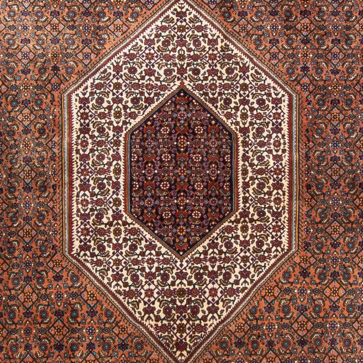 Alfombra persa - Bidjar - 305 x 210 cm - marrón