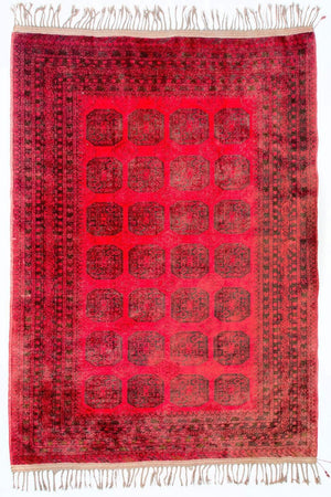 Alfombra afgana - Bukhara - 292 x 203 cm - rojo