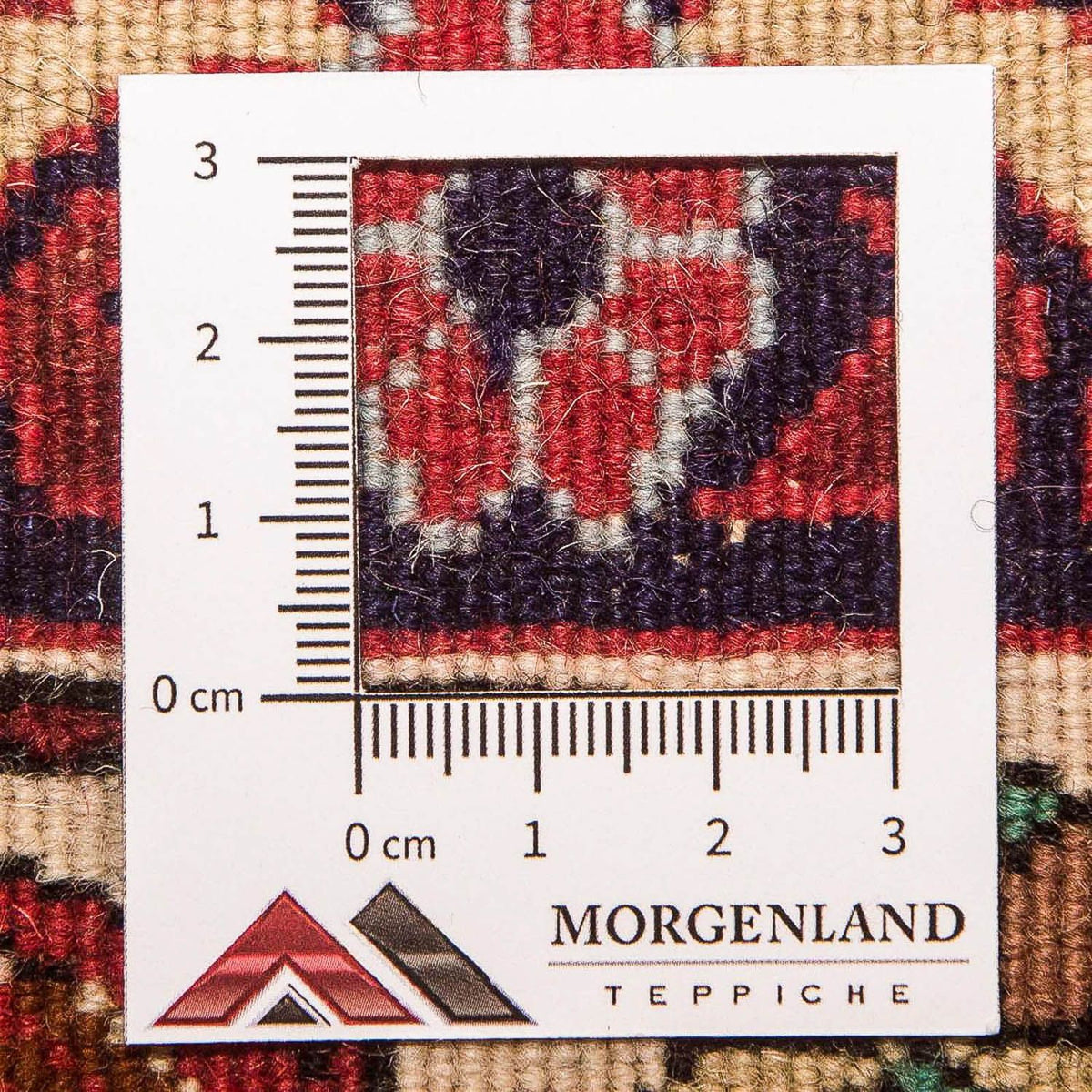 Alfombra persa - Bidjar - 348 x 203 cm - marrón claro