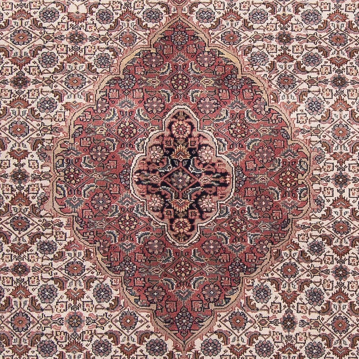 Alfombra oriental - Bidjar - Indus - 303 x 245 cm - beige