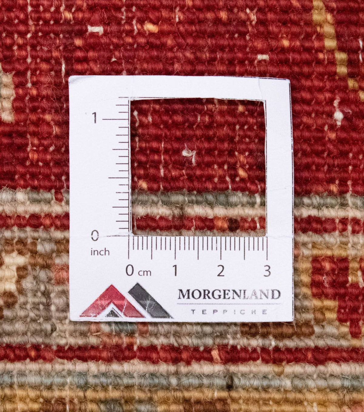 Alfombra Ziegler - 329 x 255 cm - beige