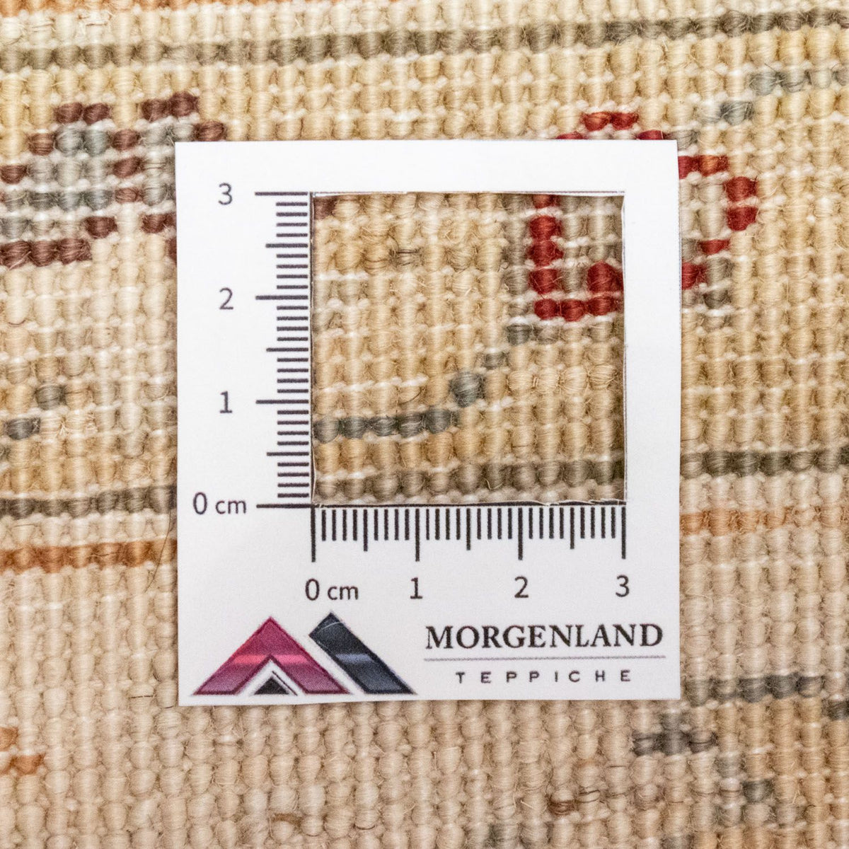 Alfombra Ziegler - 249 x 174 cm - beige