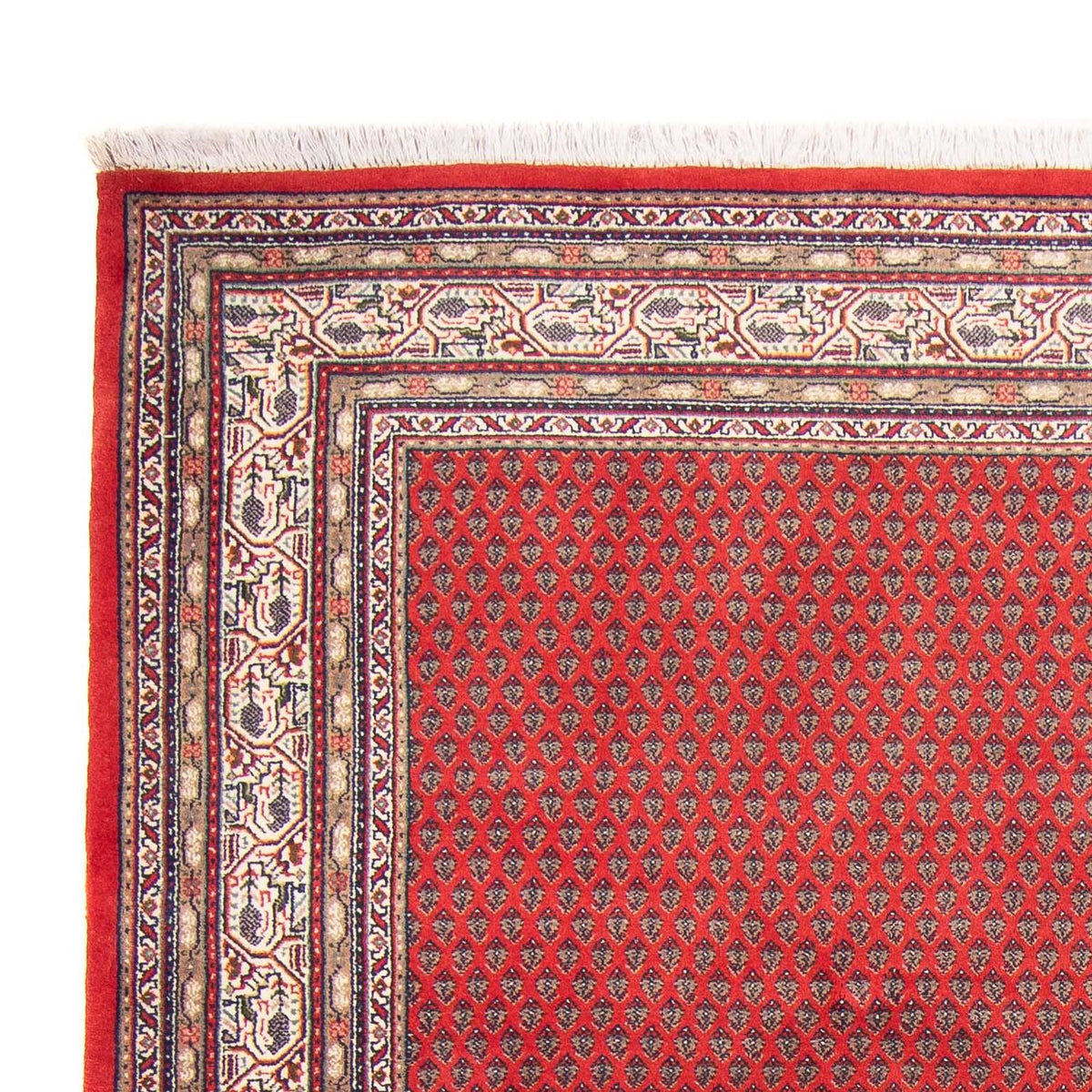 Alfombra oriental - Mir - Indus - 239 x 173 cm - rojo