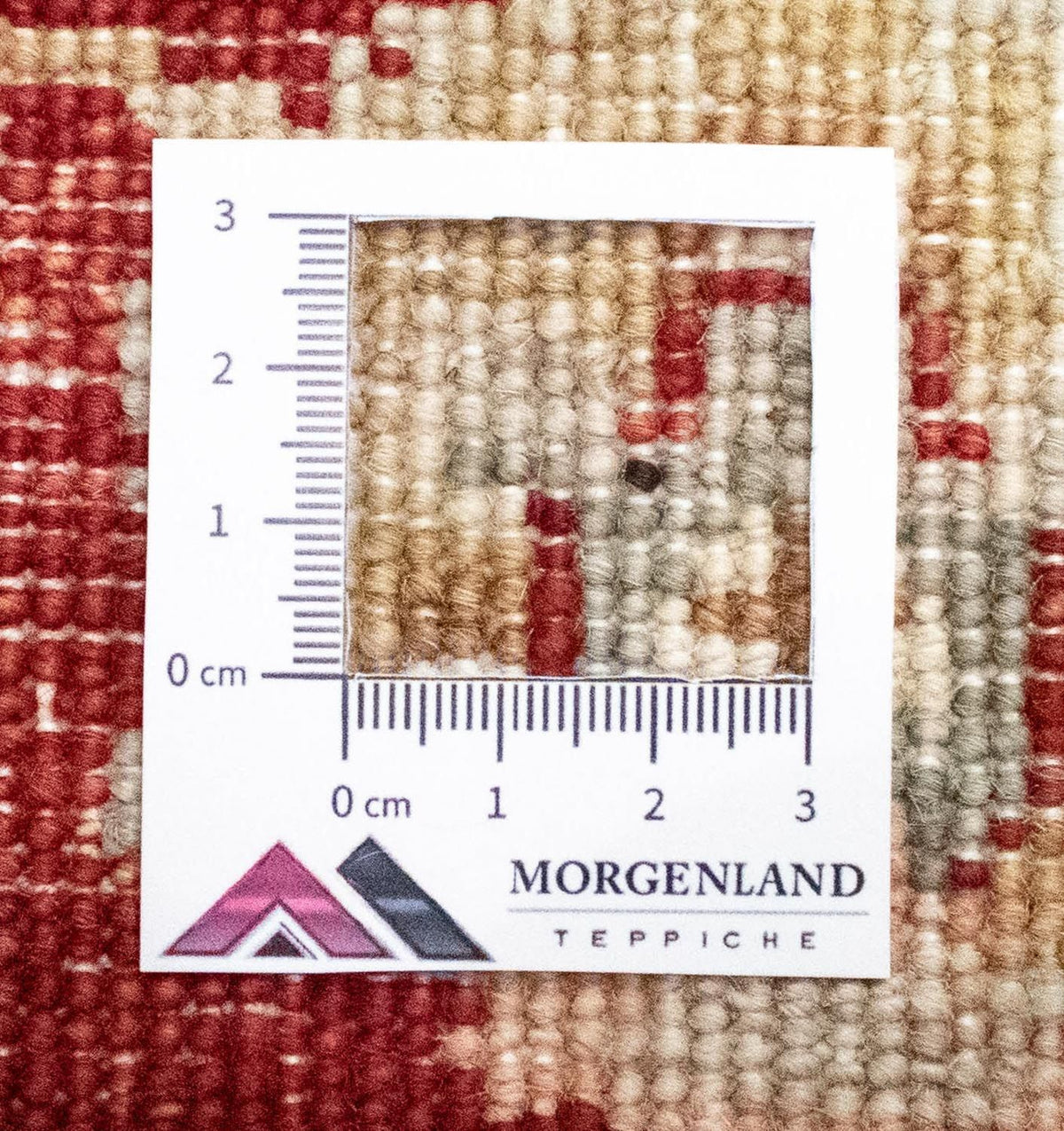 Alfombra Ziegler - 122 x 77 cm - beige