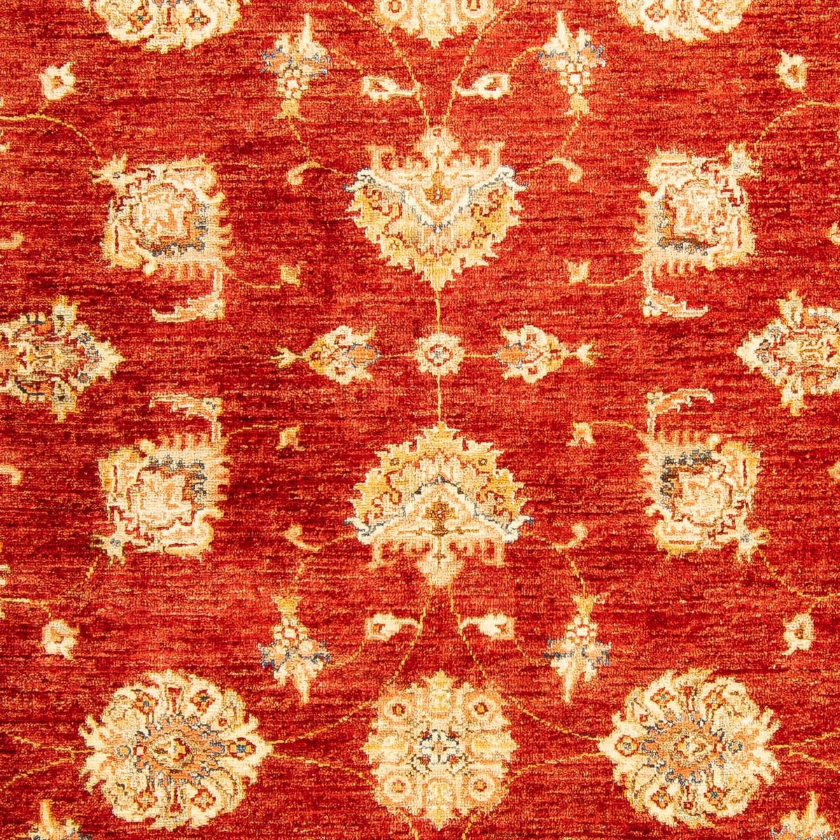 Alfombra Ziegler - 207 x 152 cm - rojo oscuro