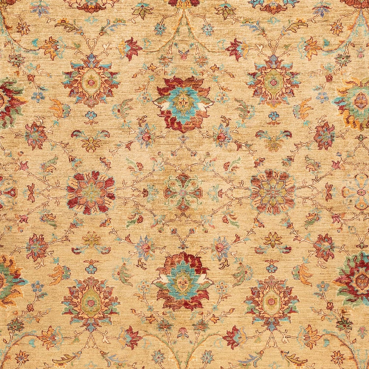 Alfombra Ziegler - Ariana - 331 x 239 cm - beige