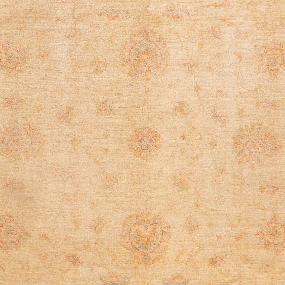 Alfombra Ziegler - 350 x 252 cm - beige