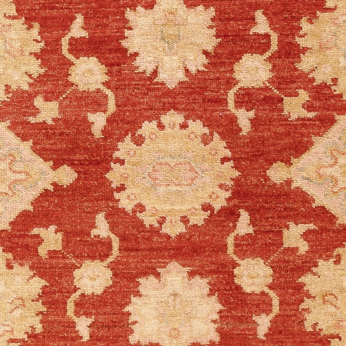 Alfombra de pasillo Alfombra Ziegler - 197 x 87 cm - rojo