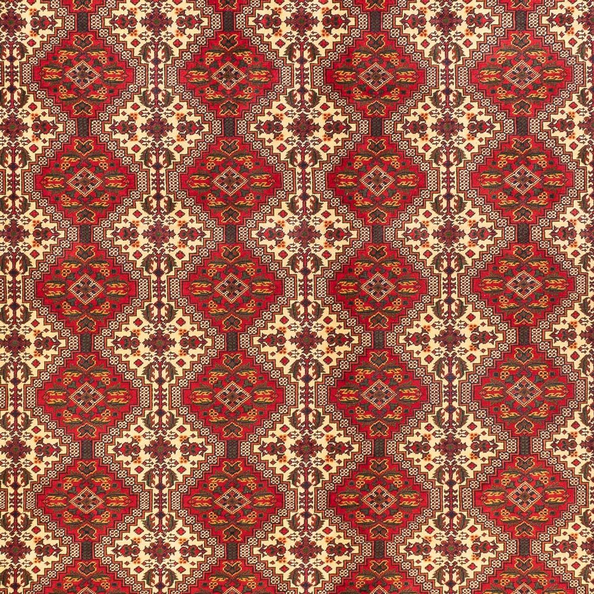 Alfombra afgana - Real - 385 x 300 cm - multicolor