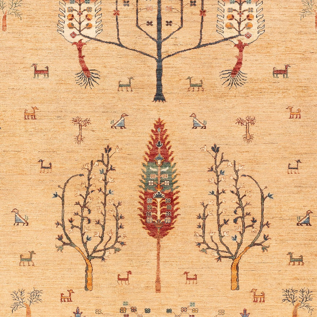 Alfombra Ziegler - Ariana - 388 x 298 cm - beige