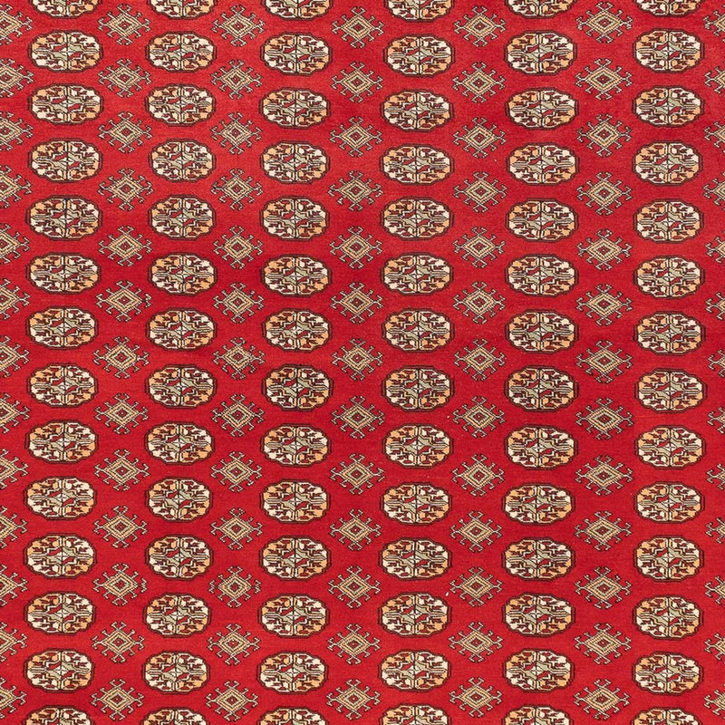 Alfombra afgana - Bukhara - 418 x 310 cm - rojo claro