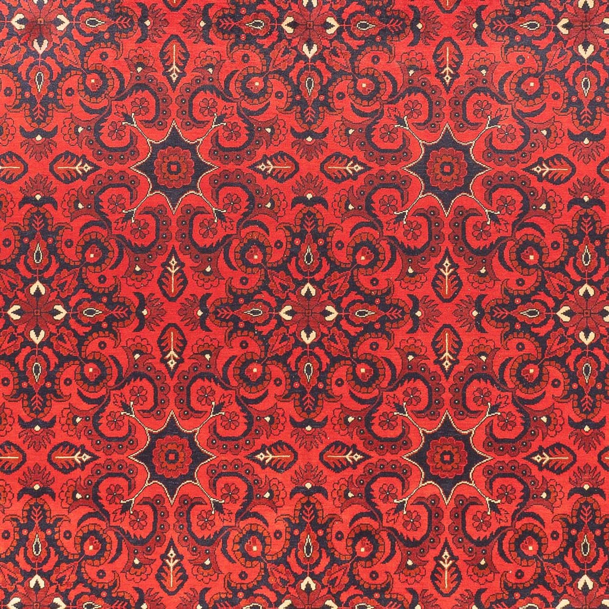 Alfombra afgana - Kunduz - 379 x 297 cm - rojo