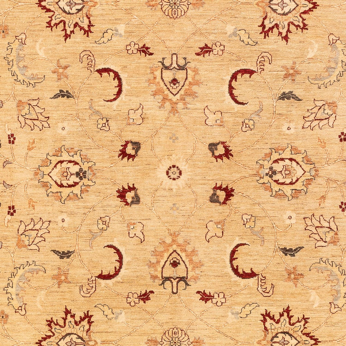 Alfombra Ziegler - 383 x 271 cm - beige