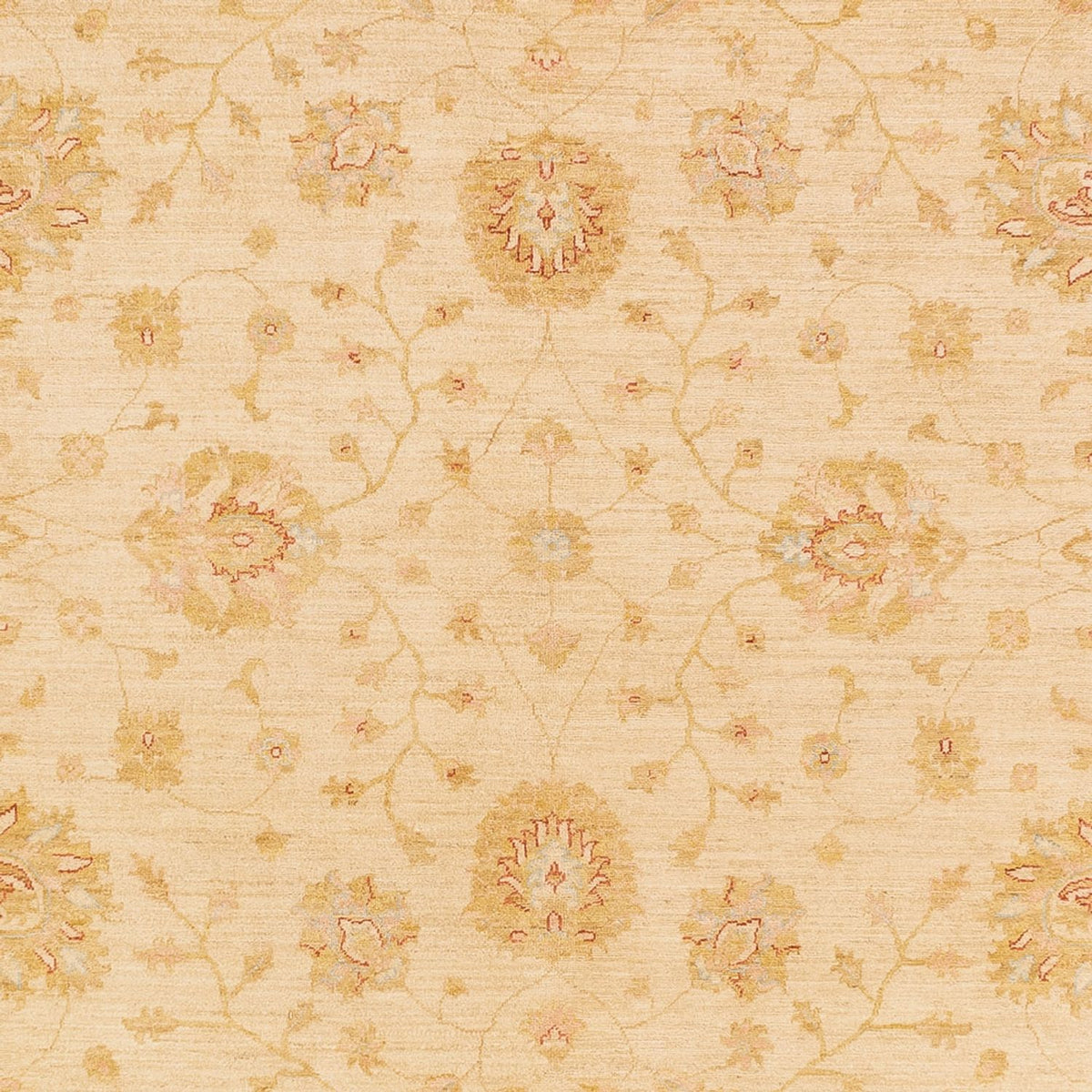 Alfombra Ziegler - 365 x 273 cm - beige