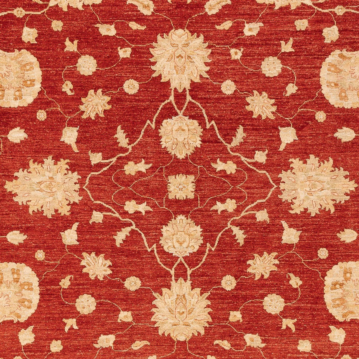 Alfombra Ziegler - 360 x 268 cm - rojo
