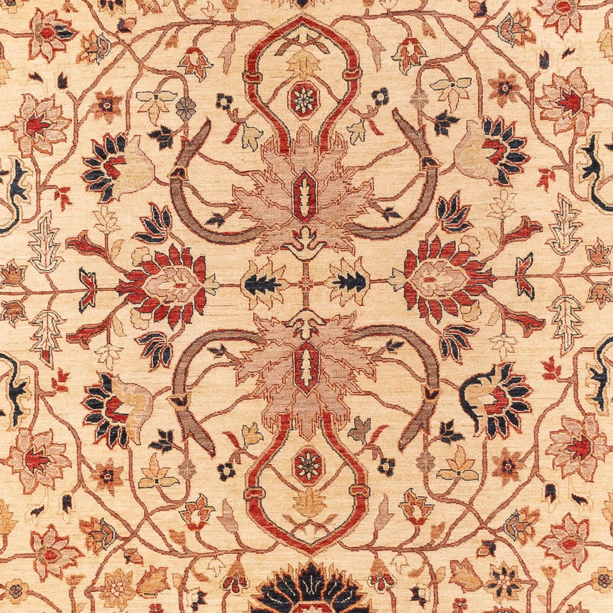 Alfombra Ziegler - 365 x 276 cm - beige