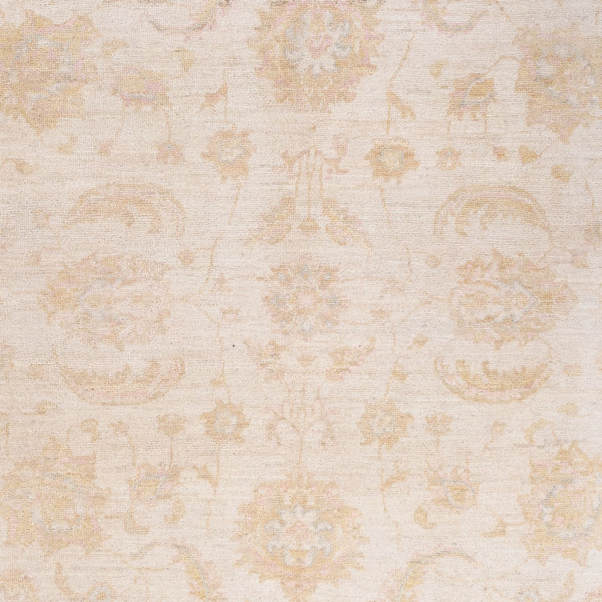 Alfombra Ziegler - 240 x 162 cm - crema