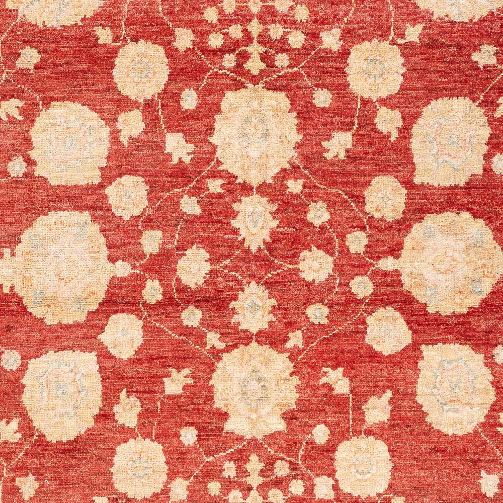 Alfombra Ziegler - 210 x 152 cm - rojo