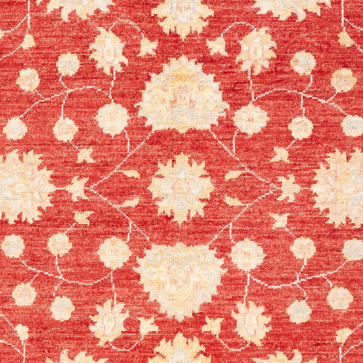 Alfombra Ziegler - 177 x 126 cm - rojo