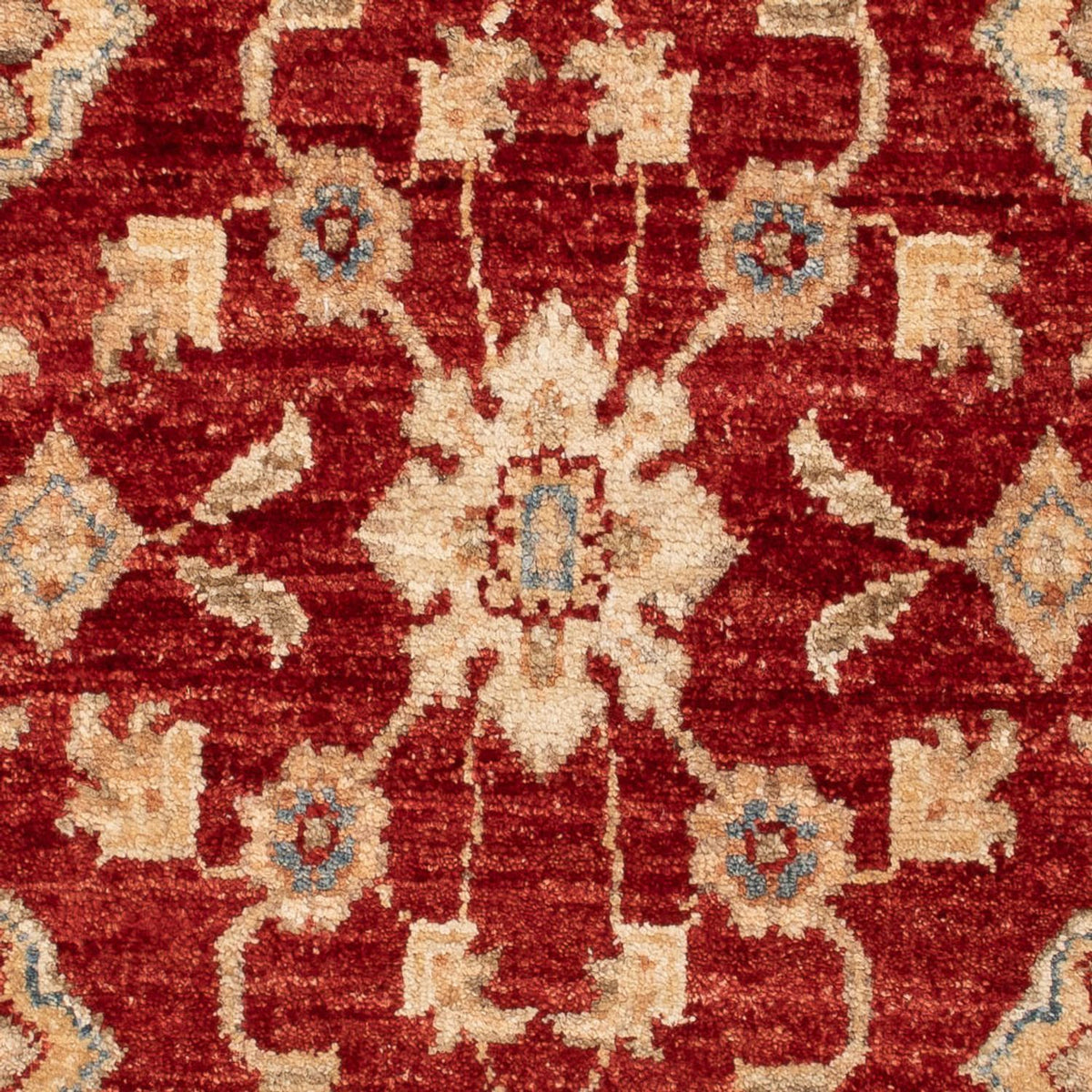 Alfombra Ziegler - 114 x 70 cm - rojo