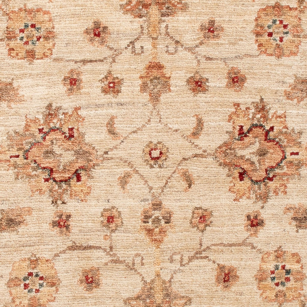 Alfombra Ziegler - 119 x 78 cm - beige
