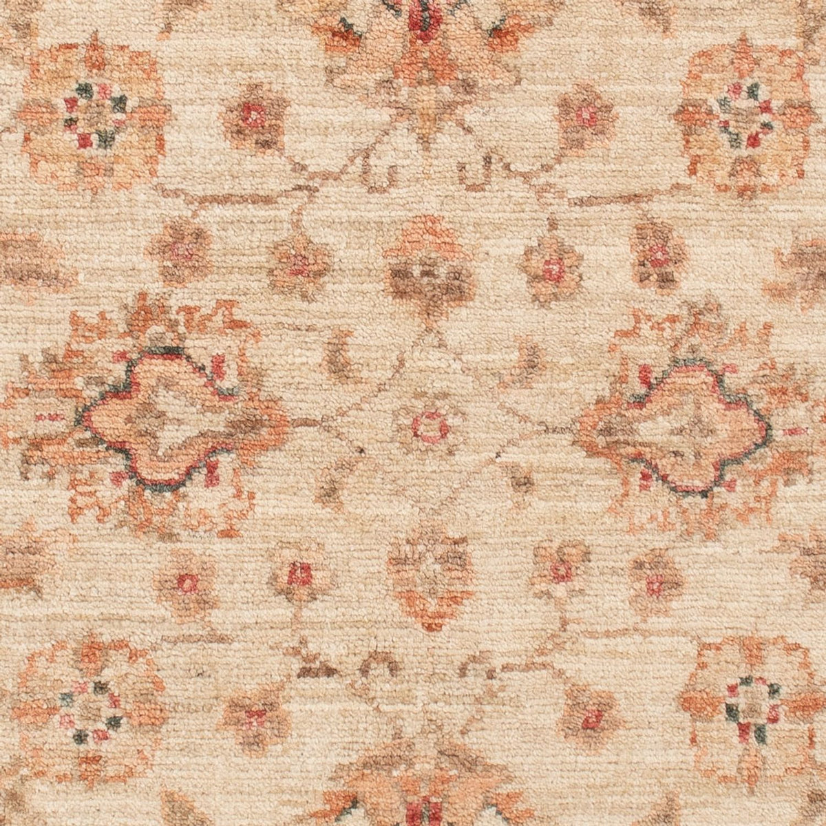 Alfombra Ziegler - 120 x 83 cm - beige