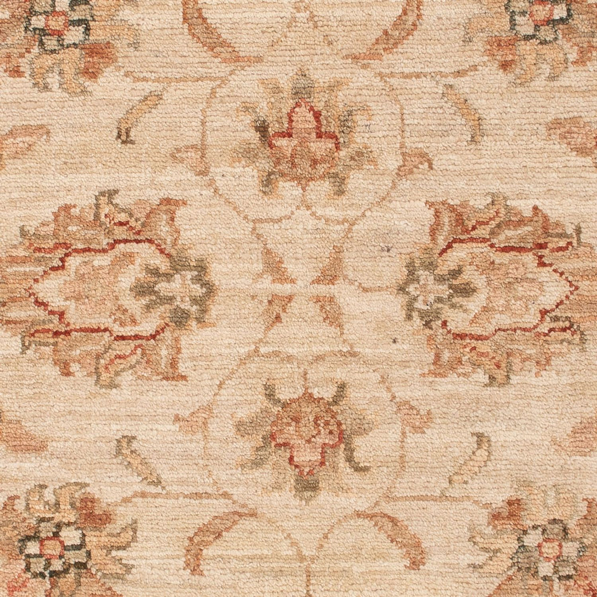 Alfombra Ziegler - 118 x 84 cm - beige
