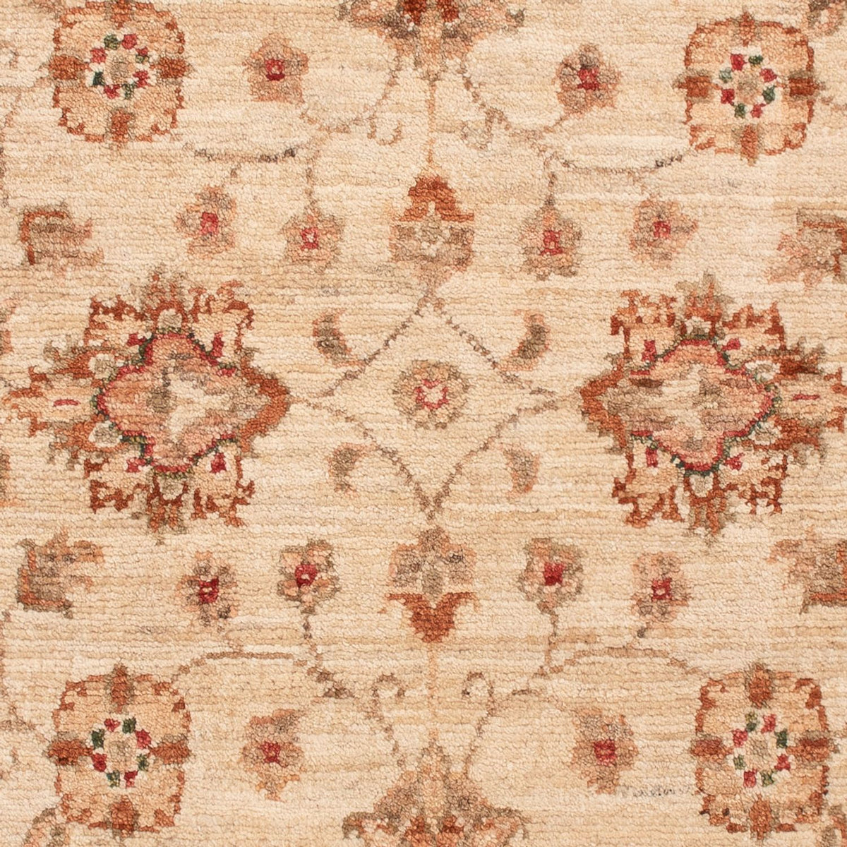 Alfombra Ziegler - 130 x 81 cm - beige