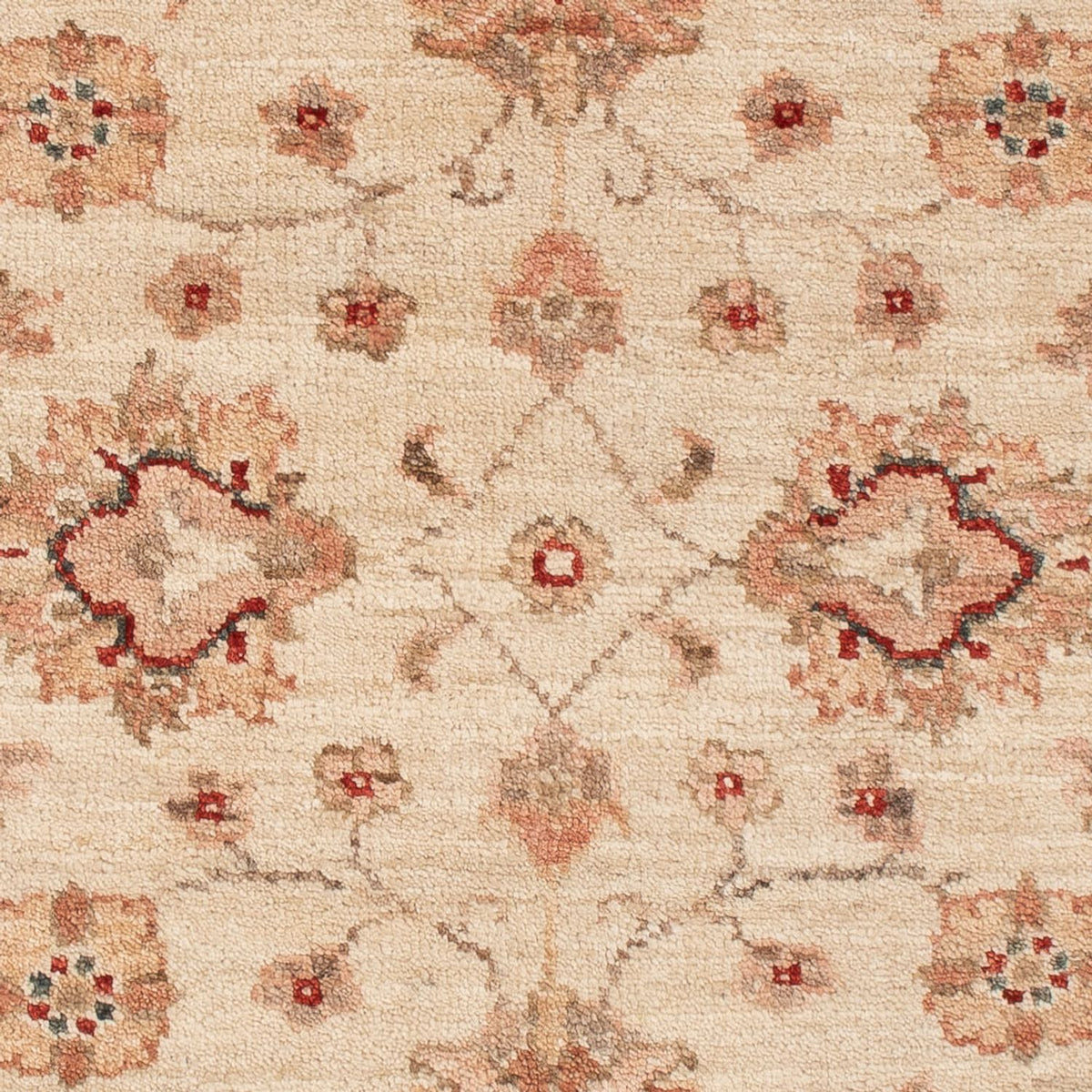 Alfombra Ziegler - 109 x 88 cm - beige