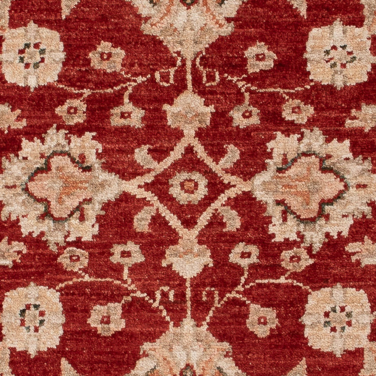 Alfombra Ziegler - 122 x 84 cm - rojo burdeos