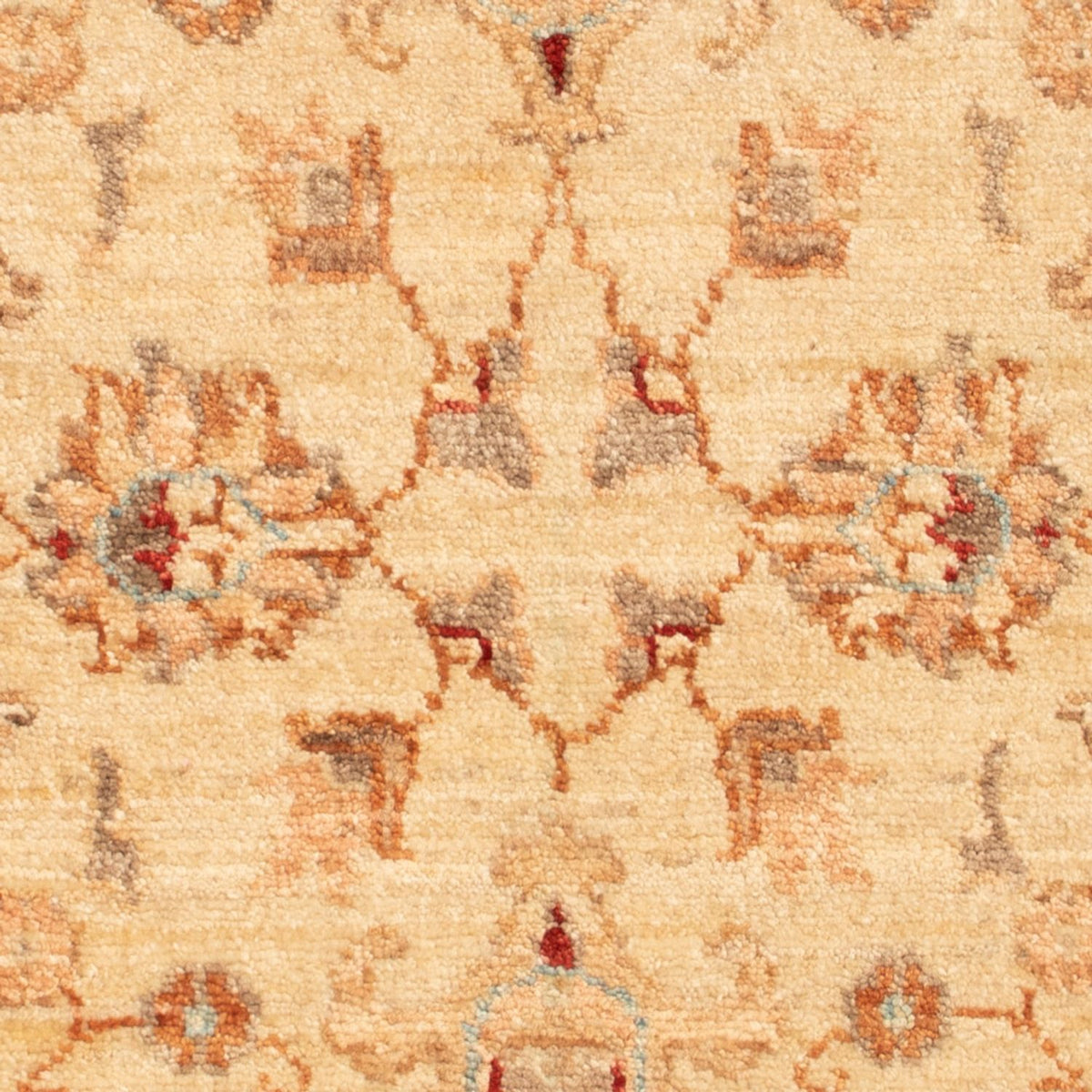 Alfombra Ziegler - 86 x 58 cm - beige