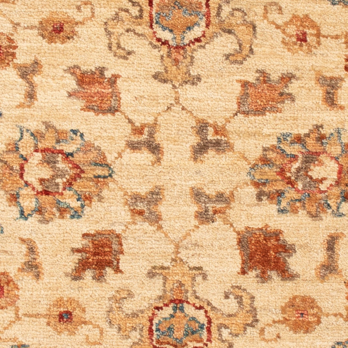 Alfombra Ziegler - 88 x 61 cm - beige