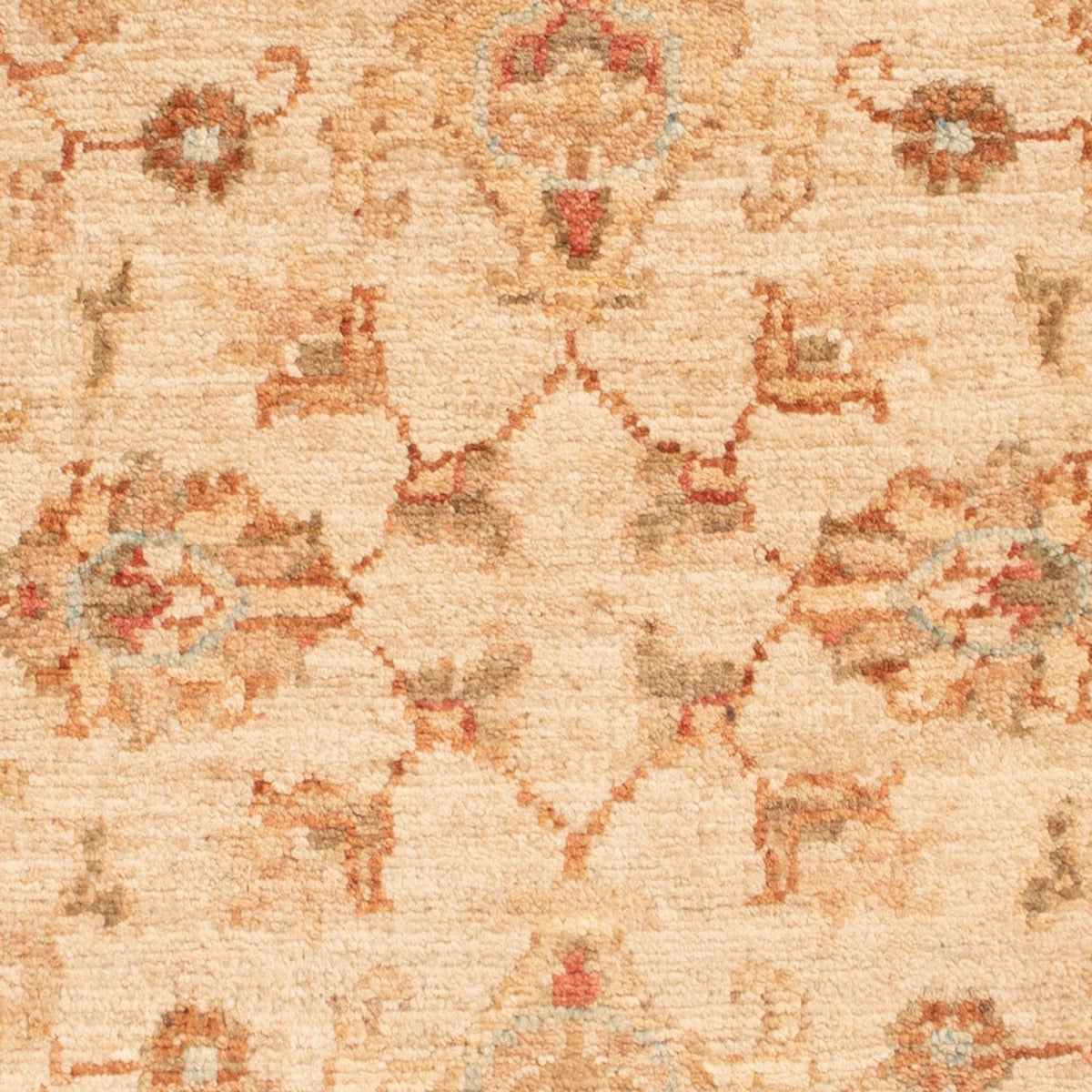 Alfombra Ziegler - 80 x 59 cm - beige