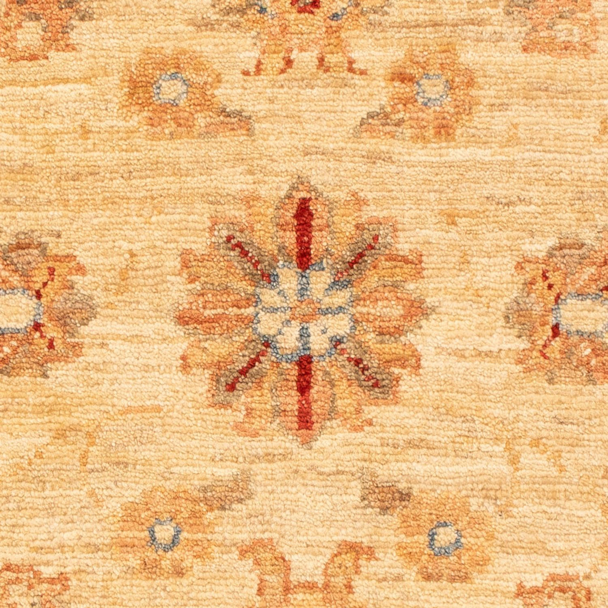 Alfombra Ziegler - 86 x 61 cm - beige