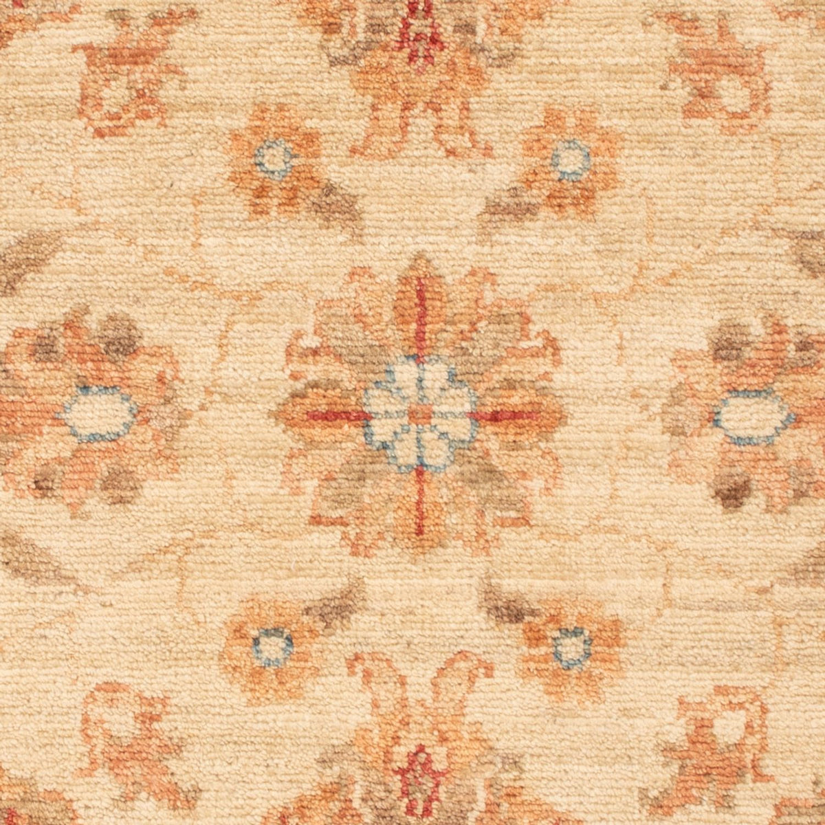 Alfombra Ziegler - 95 x 60 cm - beige
