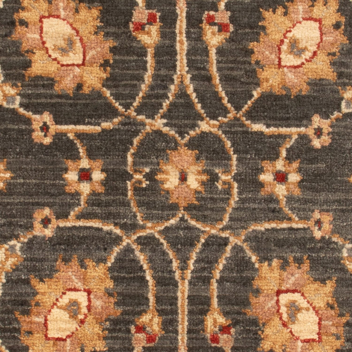 Alfombra Ziegler - 90 x 60 cm - negro