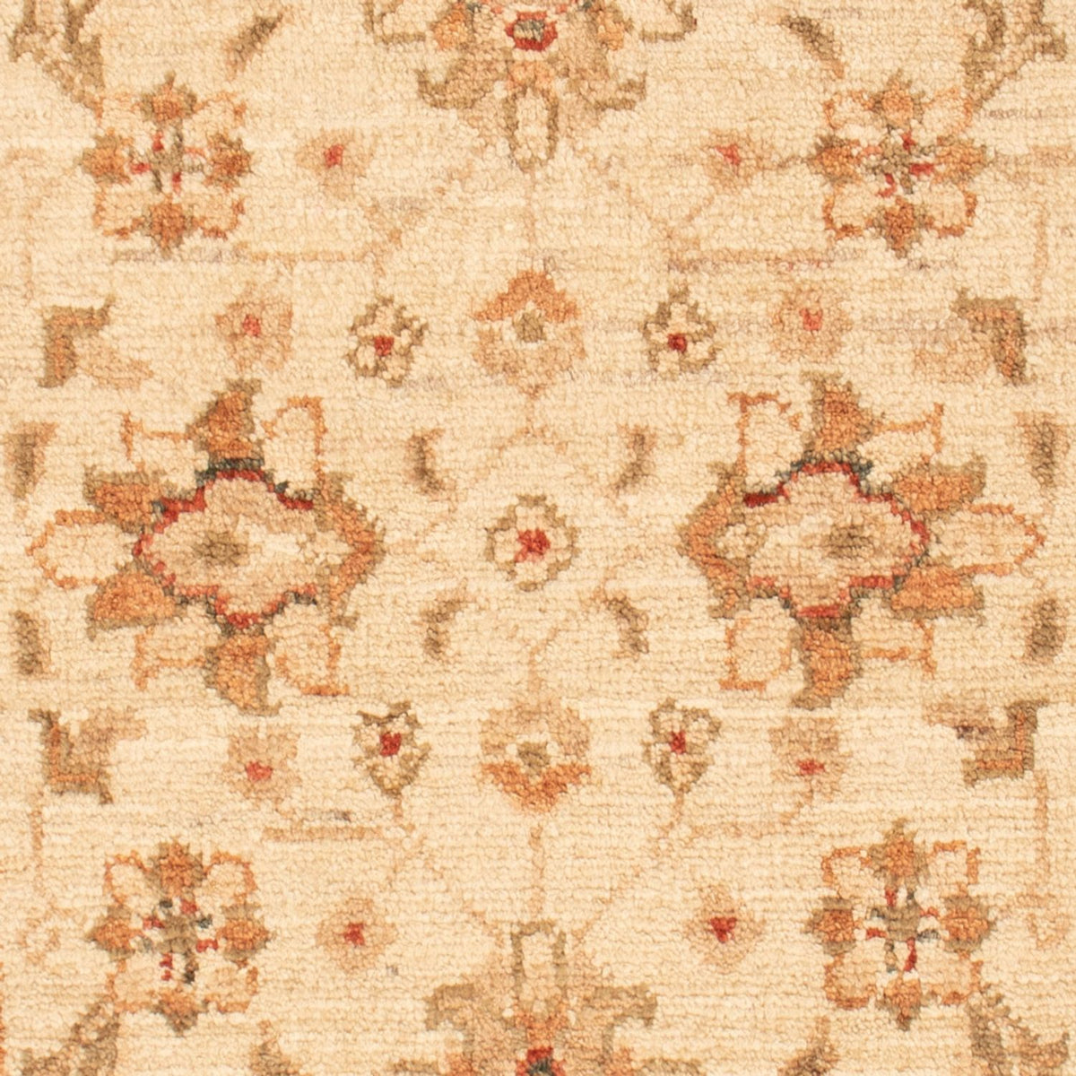 Alfombra Ziegler - 90 x 58 cm - beige