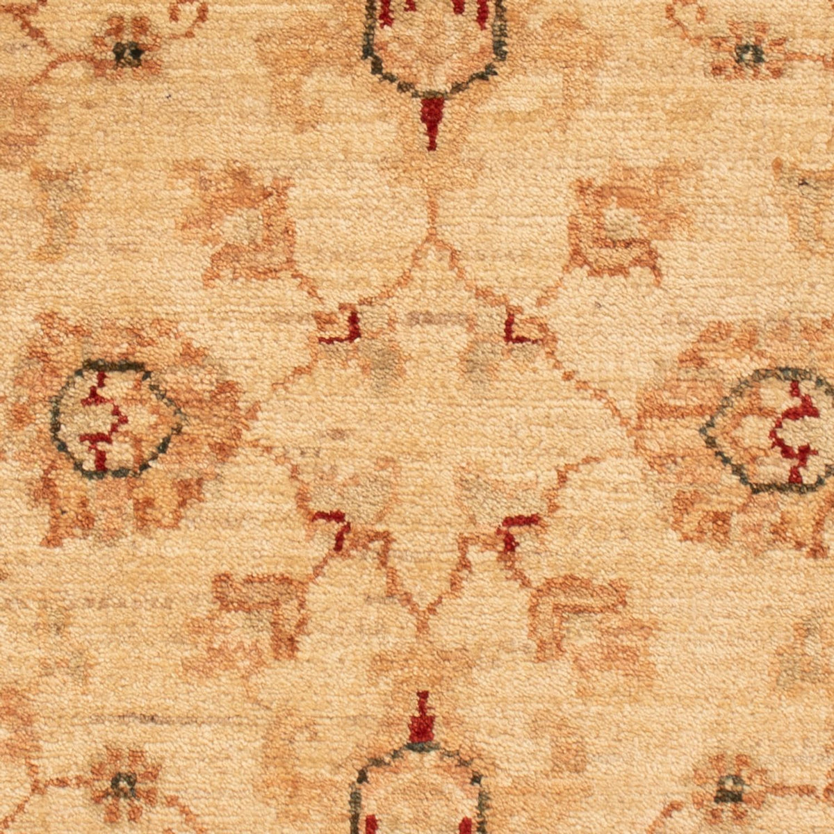 Alfombra Ziegler - 91 x 63 cm - beige