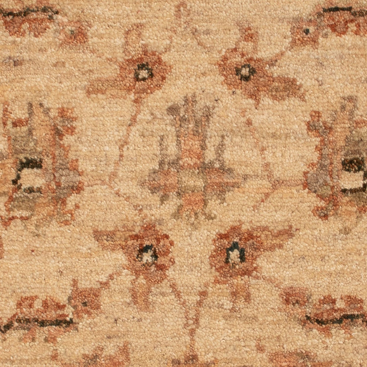 Alfombra Ziegler - 73 x 53 cm - beige