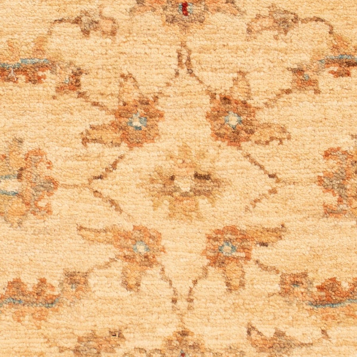 Alfombra Ziegler - 65 x 54 cm - beige