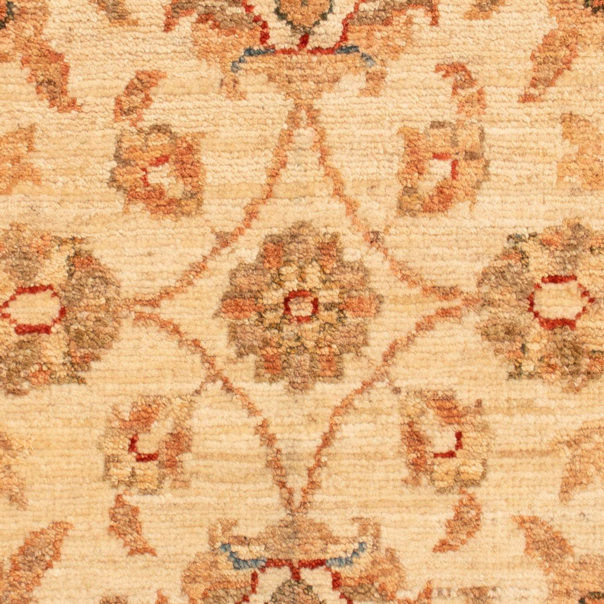 Alfombra Ziegler - 73 x 49 cm - beige