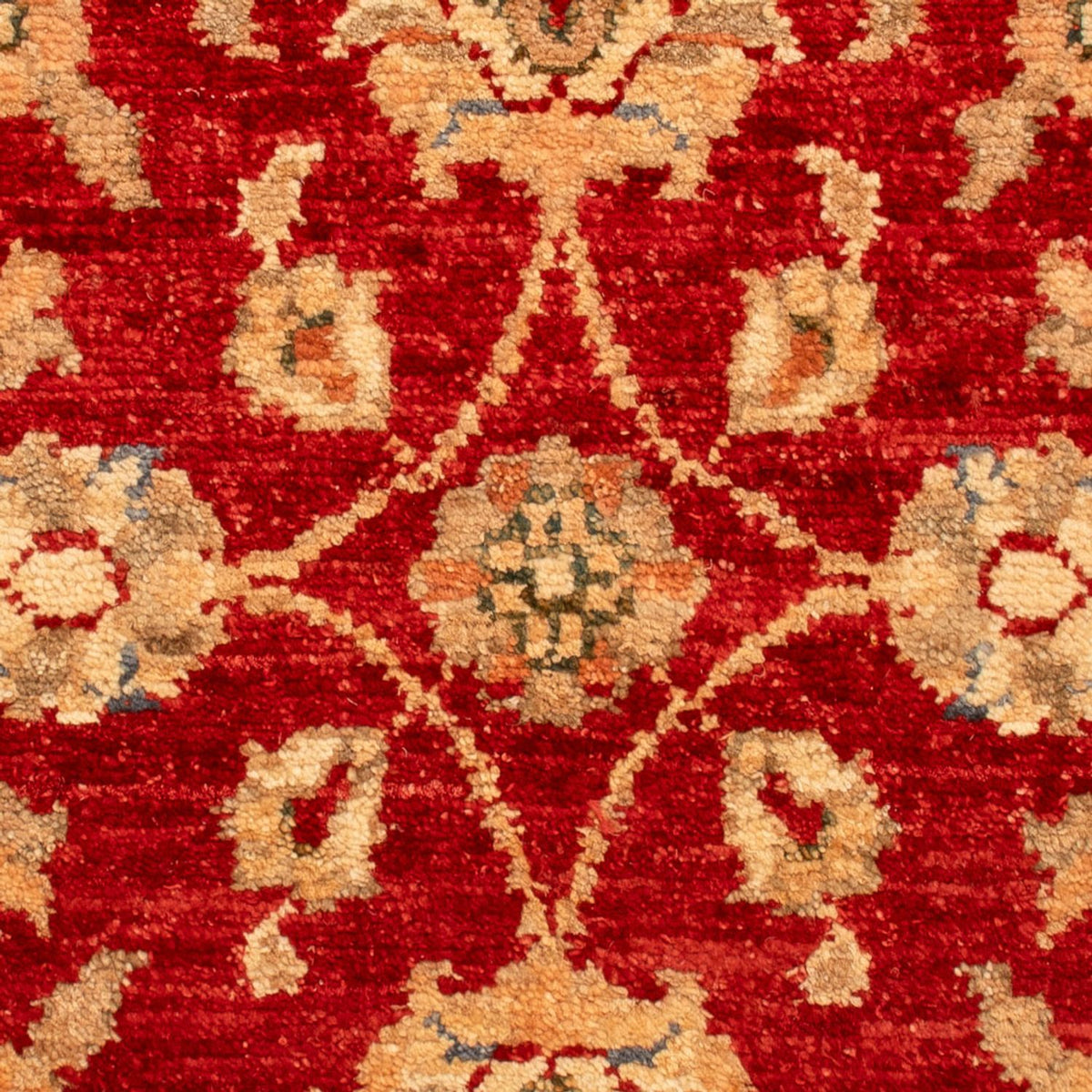 Alfombra Ziegler - 71 x 49 cm - rojo